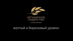 Теория спиральной динамики. Часть 5 (желтый и бирюзовый уровни)