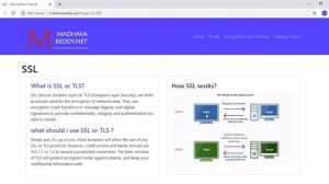 09 Spring Boot tutorial | What Is SSL |what is TLS