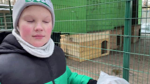 КРУТОЙ зоопарк ШИШКИ на ЛАМПУШКАХ смотреть онлайн