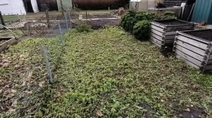 #20 Обзор дачи в Германии/аккуратная дача/огород/Überprüfung der Kleingarten in Deutschland) Рум Ту