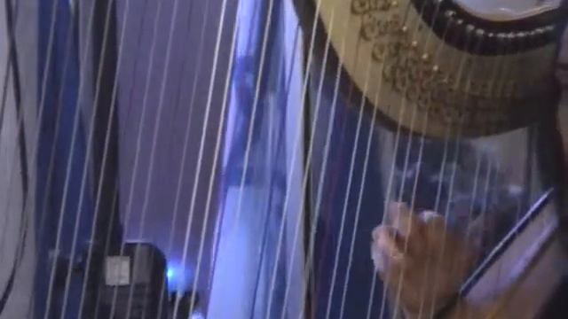 BOOK HARP   VIOLIN   FLUTE TRIO FOR YOUR CELEBRATION