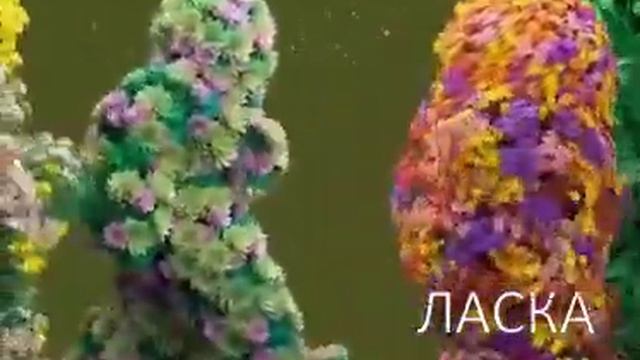 Они идут к Вам: Любовь, Счастье, Здоровье, Богатство