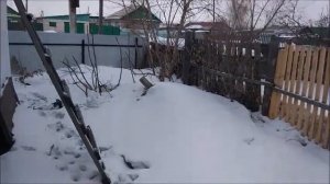 Философия Рене Декарта.  Дедуктивный метод познания.