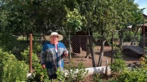 ЧТО ЦВЕТЁТ В ИЮНЕ. ВАСИЛИСТНИКИ. РОЗЫ. ПИОНЫ. БОРОДАТЫЕ ИРИСЫ. РЕДКИЕ ЦВЕТЫ В НАШЕМ САДУ. ОБЗОР САД