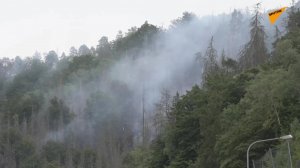 Czescy i niemieccy strażacy walczą z pożarami lasów w czeskim Hřensko