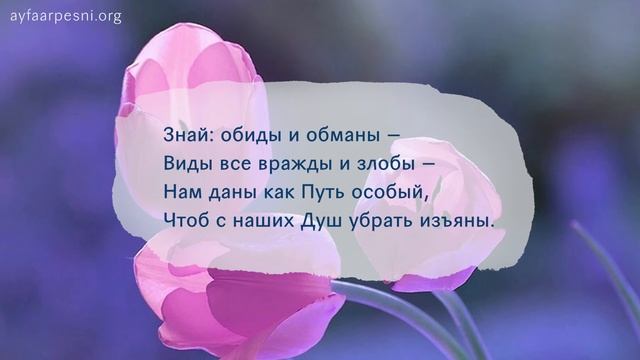 "Зачем всех прощать научающая" песня смотреть онлайн