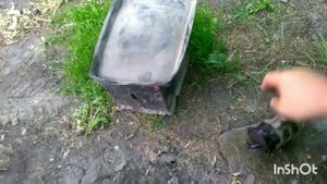 Мазда Демио, замена топливного фильтра.