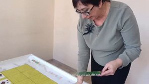 Новый вид соревнований для дошкольников с роботом-пчелкой.