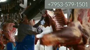 Трубчатые подвесные пути