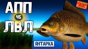РР4/ рыбалка для души, ловим как универсал, общаемся 29.03.24