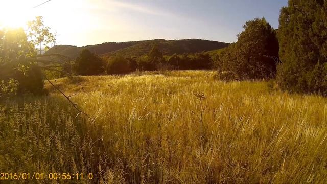 Поляна, где цветёт шиповник и растёт чертополох. Крым. Новый Свет. (часть 3). смотреть онлайн