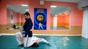 техники на 6 дан Джиу-джитсу Алексей Фатеев- Батырхан Кыстаубаев Новосибирск