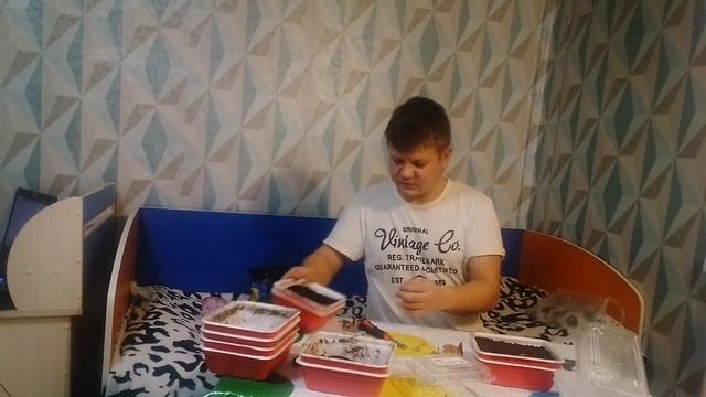 !!! Способ для ленивых!!! Сажаем рассаду в феврале.