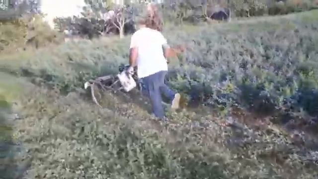 Самодельная косилка смотреть онлайн