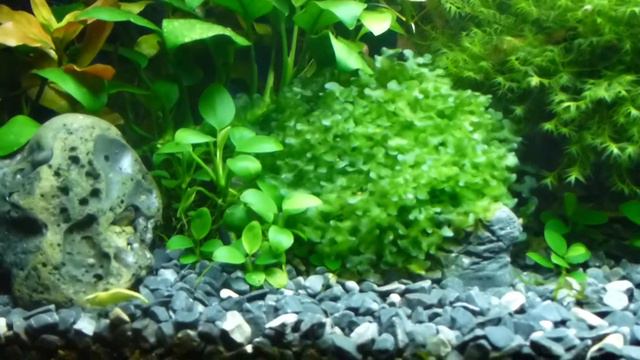 Мои 70 литров смотреть онлайн