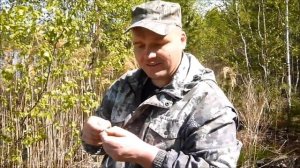 Рыбалка на торфяных карьерах.