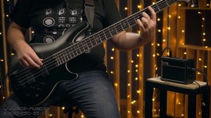 Басовый мини комбик VOX AC2 RythmVOX BASS