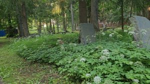 Карелия. Сортавала. Старинное Финское кладбище. Karelia. Sortavala. Ancient Finnish cemetery