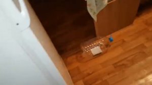 Рыбалка в Астрахани с.Чаган, река Волга, База отдыха Бережок 2019 июль