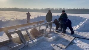 Обеспечение безопасности в Крещенские купания