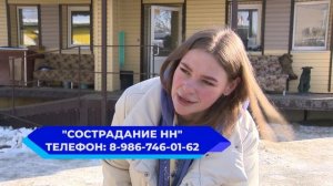 Акция канала журналисты помогают приюту Сострадание замена