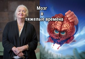 Черниговская Т В - Тяжелые времена и мозг