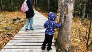 Тропа здоровья. Гора Белая. Нижний Тагил.