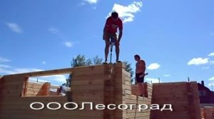 Выравнивание и осаживание стен брусового дома