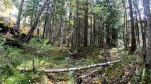 Прогулка по реке Курчум