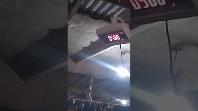 КФХ Победа. Наш 3лет Абердин Ангус, осиминитель смотреть онлайн