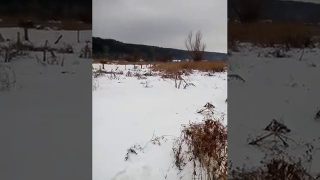 Участок возле леса и озера, село Гнедин