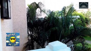 Club Mahindra Emerald Palms Goa 1 BR Room Tour | Varca Goa | Journey Between