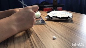 Распаковка посылки с муравьями! #1 А знахарей то не положили!)