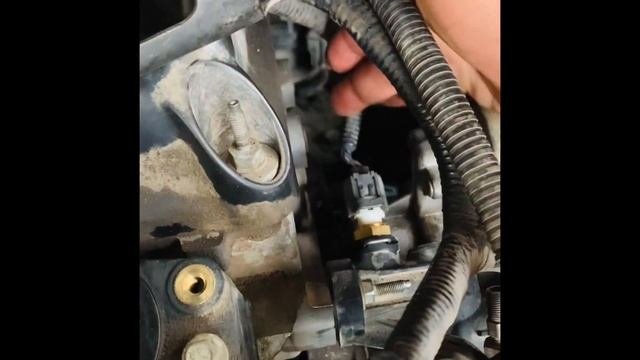 Cambiar Sensor De Temperatura Replace Temperature Sensor Ford Escape 2001-2007