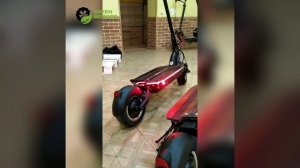 Тормозной сигнал на электросамокате. Brake signal on an electric scooter.