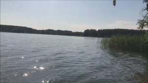 Суходольский залив, Учинское водохранилище. Кусочек лета)