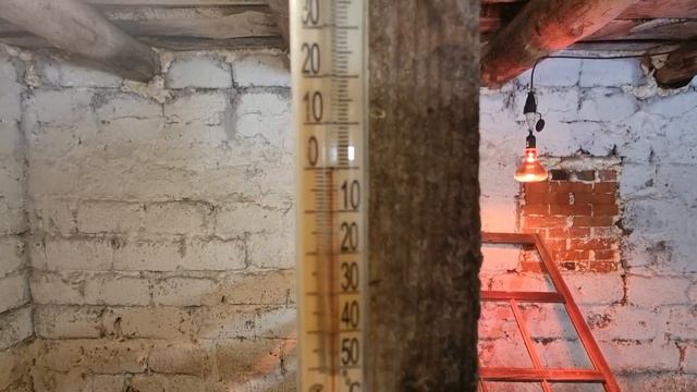 Как обустроить курятник? часть 2 Обустроил курятник.  Заселил курей