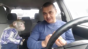 Обезьянка Боня с Иваном отвозит деревенские продукты в Москву