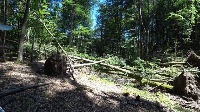 Сочи / Поход с Пикета на Змейковский Водопад / Парапланы / Эндуро смотреть онлайн