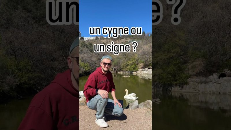 Combien le français est riche en homophones ! #lefrançais