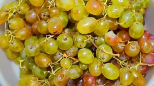 Виноград Тайфи Розовый с косточками вращается в белом тазу на фотоштативе