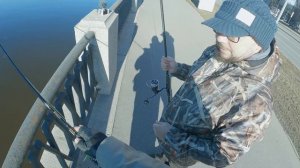 Стритфишинг на Неве. Спиннинг в Питере. Невский джиг. Рыбалка в Ленинградской области.