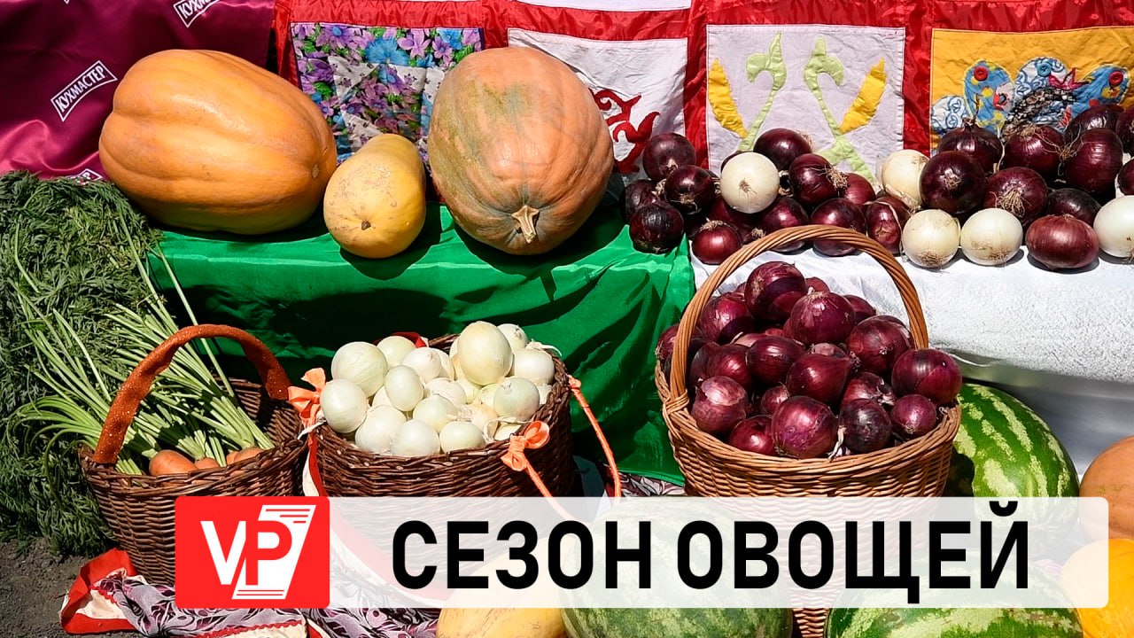 ВОЛГОГРАДСКИЕ УЧЕНЫЕ УКРЕПЛЯЮТ ПРОДОВОЛЬСТВЕННУЮ БЕЗОПАСНОСТЬ СТРАНЫ