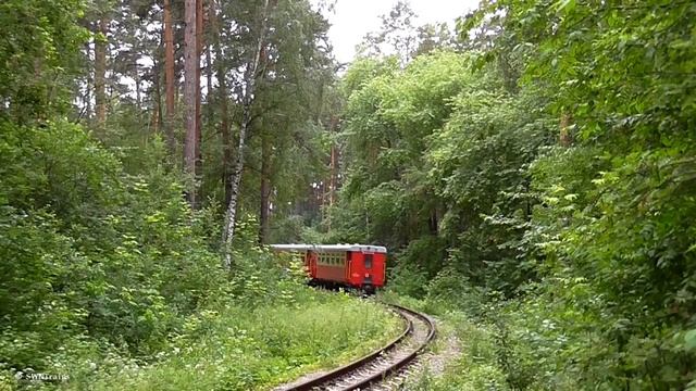 КРАТКИЙ РАССКАЗ О ТЕПЛОВОЗЕ ТУ 10| узкоколейка| ЖЕЛДОР 56.TV первое видео смотреть онлайн