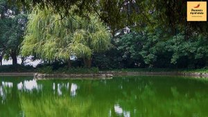 Рассказ мужчины | Измена жены. Лицемерное предательство. Месть мужа. Наказание и карма. История