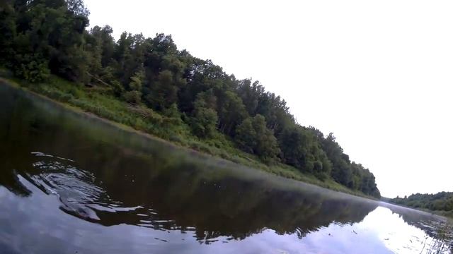 Голавль ловля в проводку на пшеницу река Днепр смотреть онлайн