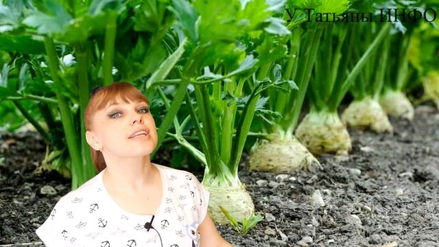 Хорошие соседи КАПУСТЫ — залог СУМАСШЕДШИХ УРОЖАЕВ !!! смотреть онлайн