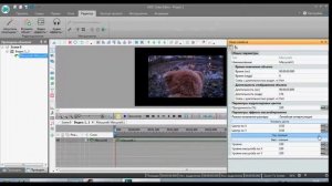 Как сделать чтобы не было черных полос на видео в VS DC Free Video Editor