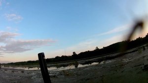 МР155 патрон феттер №7,5,  28гр удачный выстрел, кряква