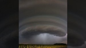 Антонио Вивальди палладио(танго смерти) кавер